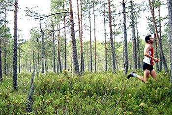5-6km4